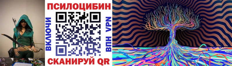 наркотики  Трёхгорный  Псилоцибиновые грибы Psilocybe 